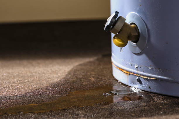 Best Basement water damage restoration  in Wisr, NE