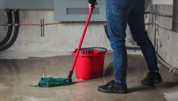 Best Local water damage restoration  in Wisr, NE