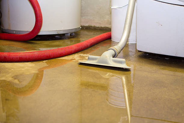 Best Water damage restoration mold remediation  in Wisr, NE