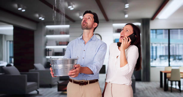 Best Water damage cleanup near me  in Wisr, NE