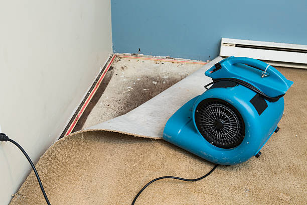 Carpet water damage restoration in NE